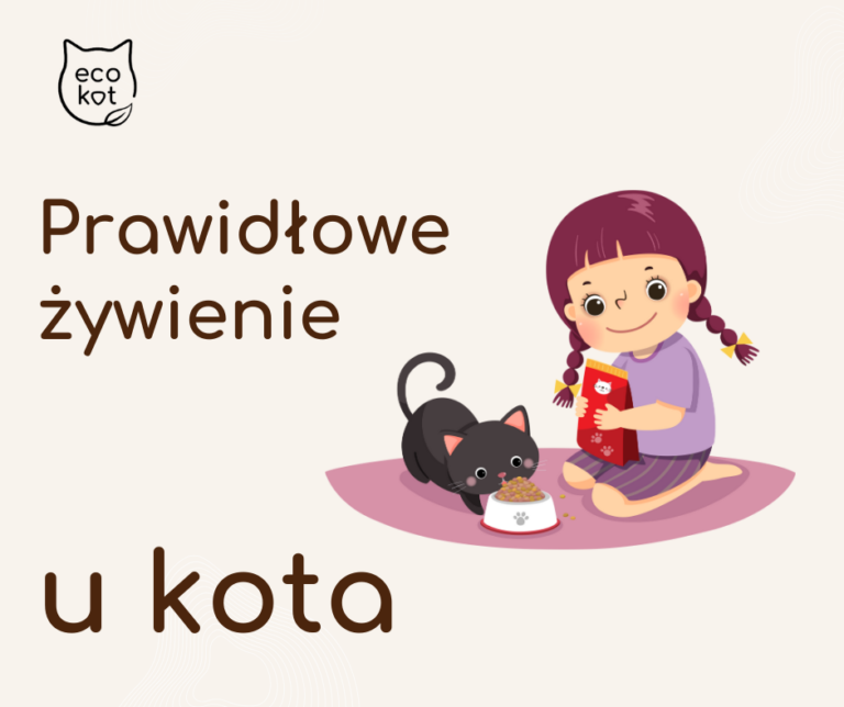 prawidłowe żywienie u kota