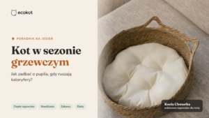 Kot w sezonie grzewczym – poradnik EcoKot, legowisko Kocia Chmurka